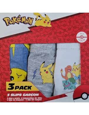 Pack 3 Slips Pokemon